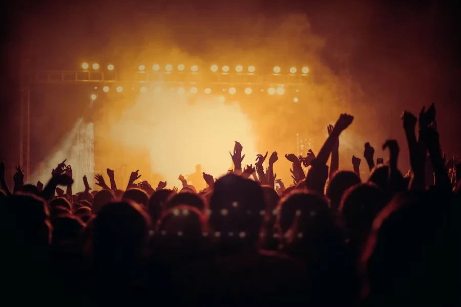 Live music, DJ and dance entertainment at a wedding