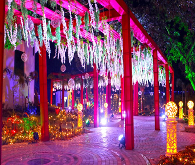 Jim Corbett Destination Wedding Night View